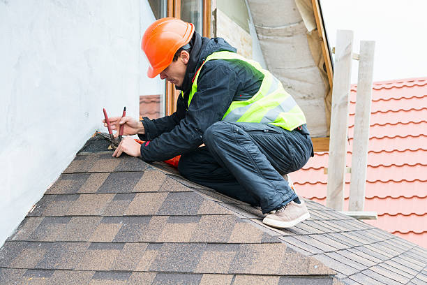 Roof Gutter Cleaning in Jarales, NM